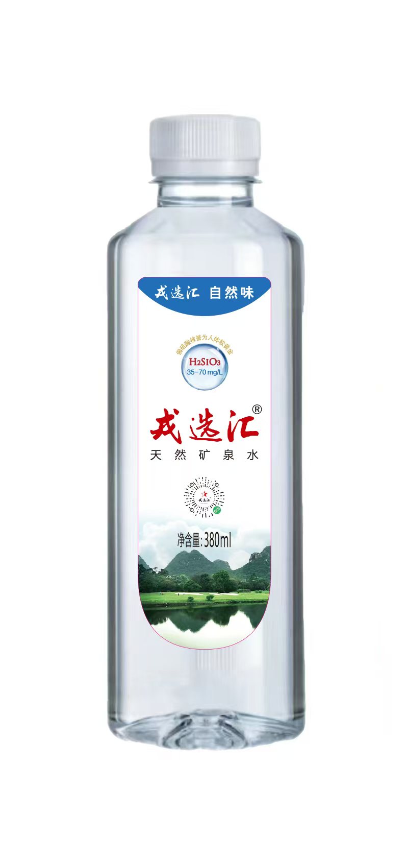 戎选汇